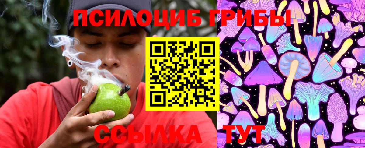 Галлюциногенные грибы Psilocybe  Галлюциногенные грибы Magic Shrooms  Славянск-на-Кубани  Вход с VPN 
