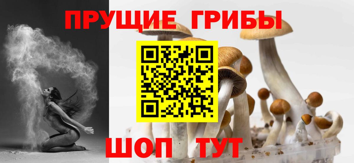 Псилоцибиновые грибы MAGIC MUSHROOMS Славянск-на-Кубани